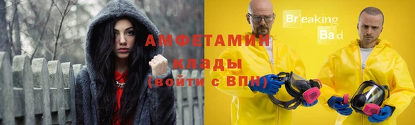 индика Богданович
