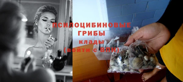 ALPHA PVP Бугульма