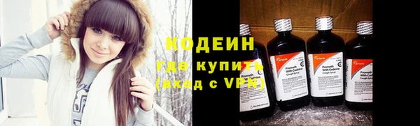 дживик Богородицк