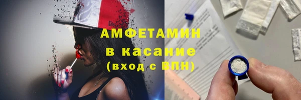 индика Богданович