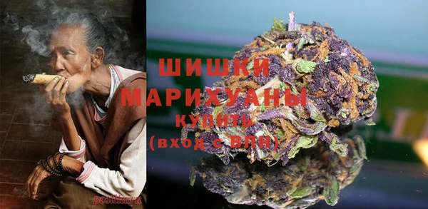 индика Богданович