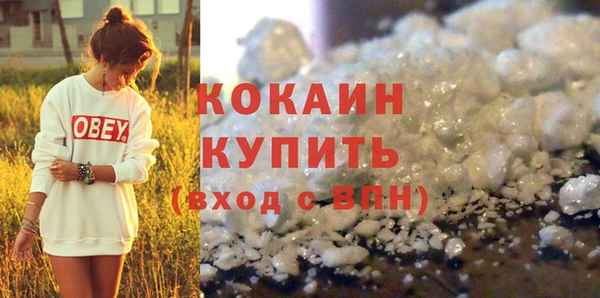 дживик Богородицк