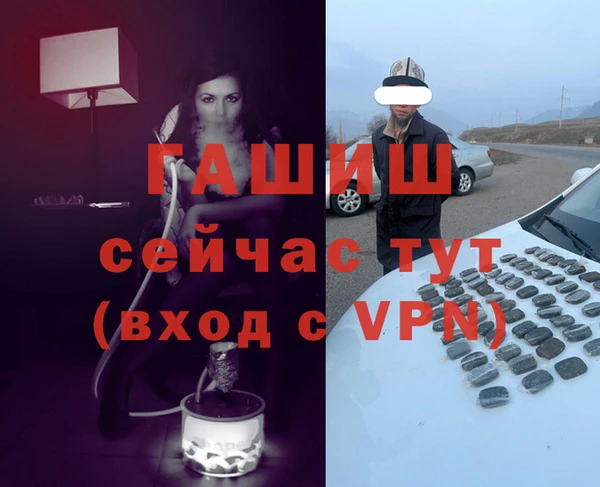 индика Богданович
