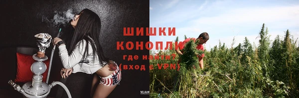 дживик Богородицк