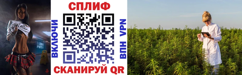 Шишки марихуана план  наркотики  Бугуруслан 
